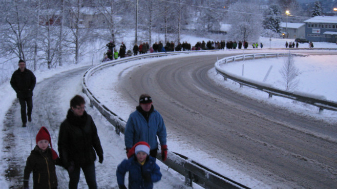 Julegran Meldal2