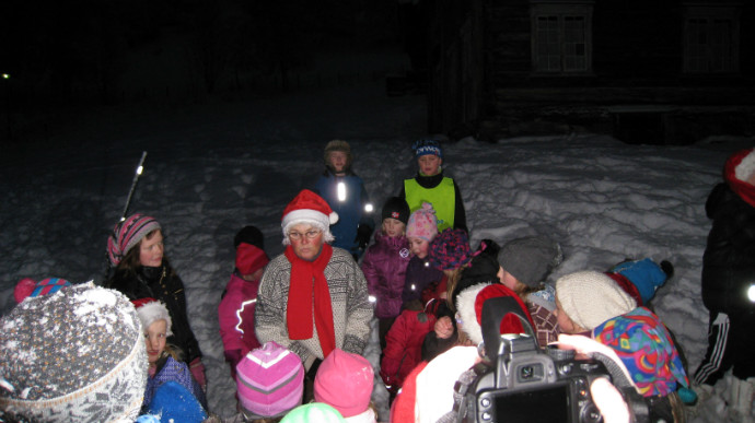 Julegran Melldal4