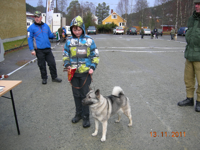 Løkken utst 13.11.11. 004