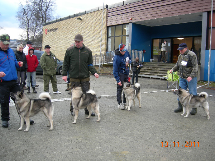 Løkken utst 13.11.11. 034