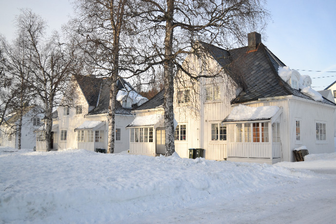 bjørnlikaldti071