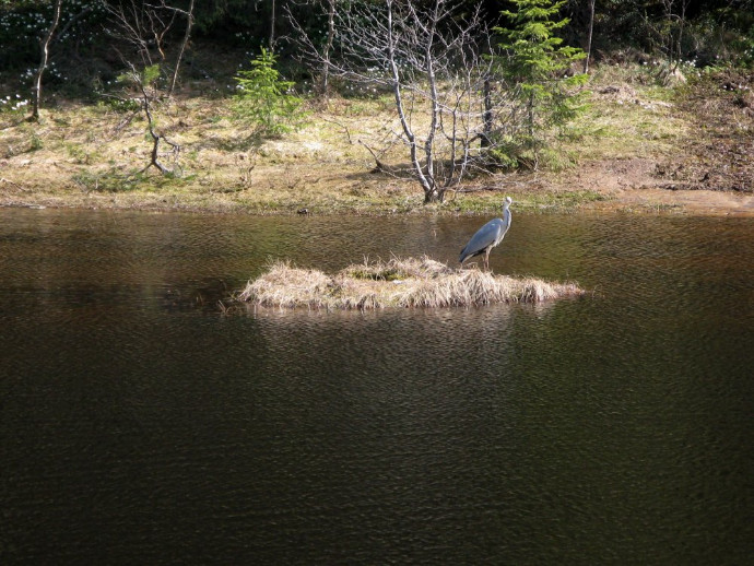 Våren  2008 053