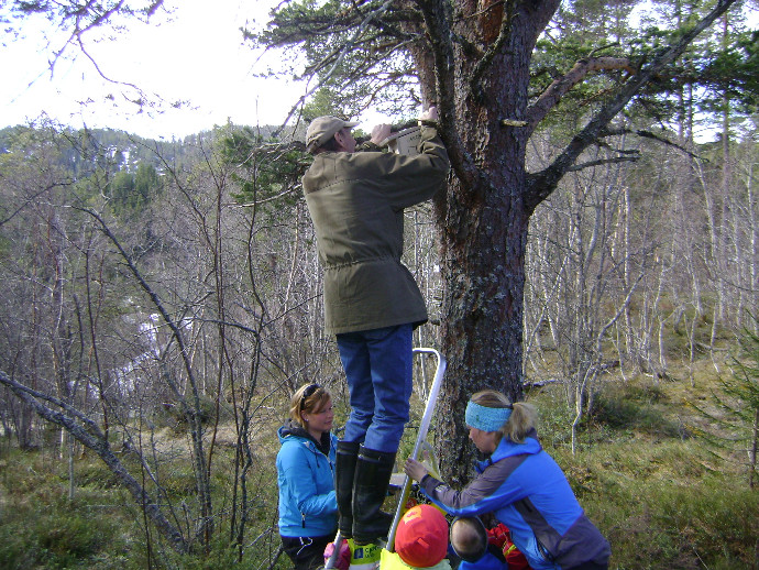 Kløverløkken4