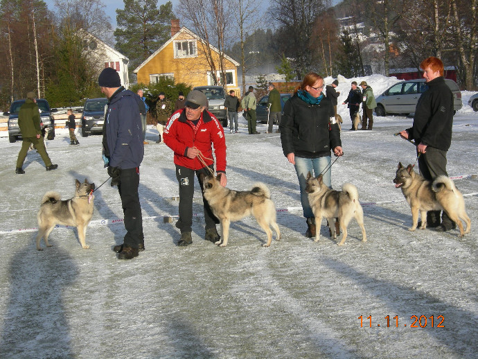 Elghunder 2012 231