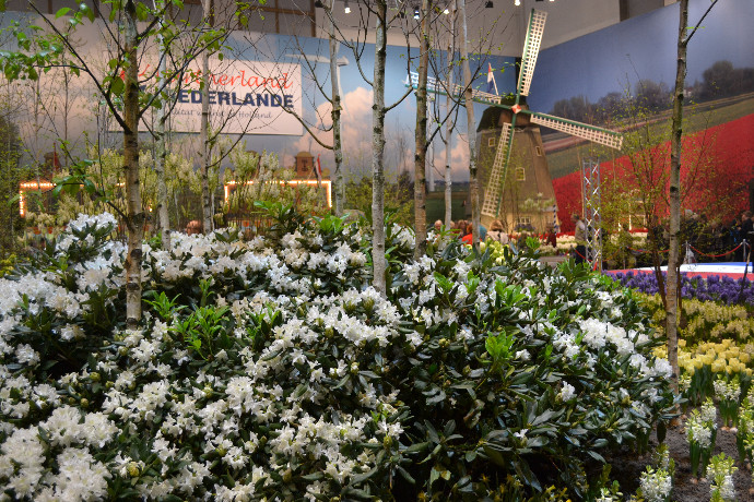 gwnederland031