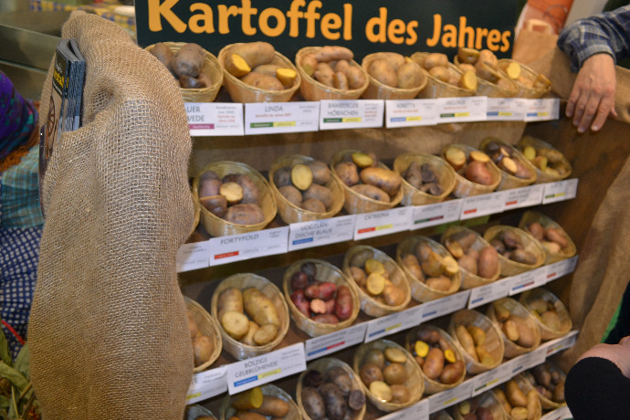 gwpotet038