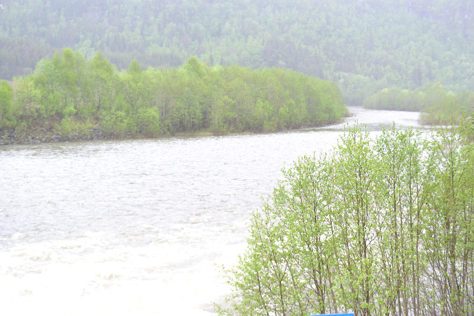 Vårflom023