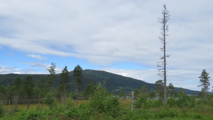 A Groeggvika mot Gimsehøgda