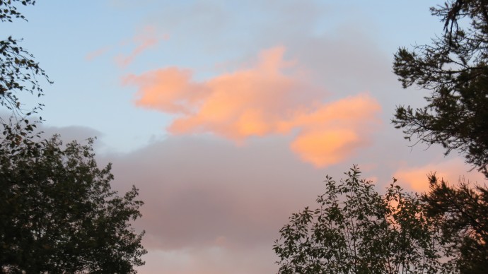 September 2015 135