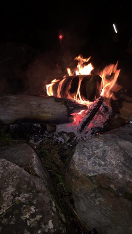 natt i naturen4