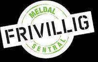 Logo lokal svart frivillig copy copy
