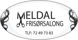 logo meldalfrisorsalong