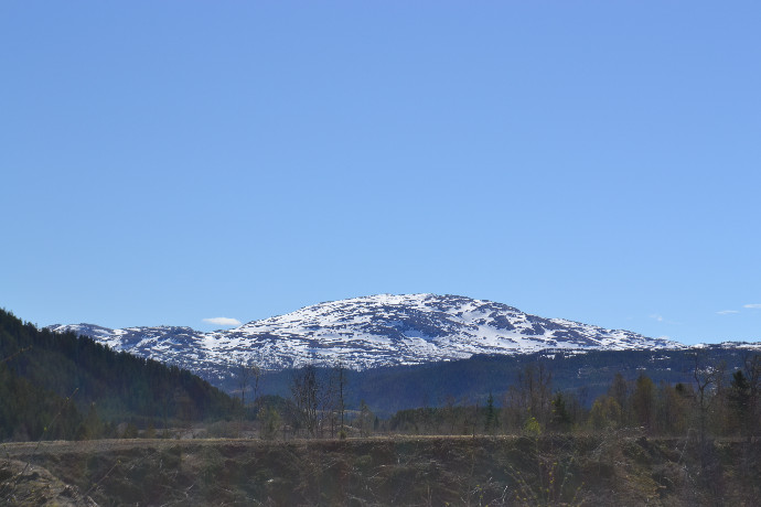 vårresfjell046