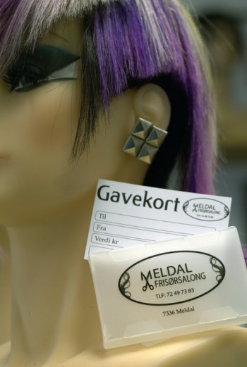Gavekort