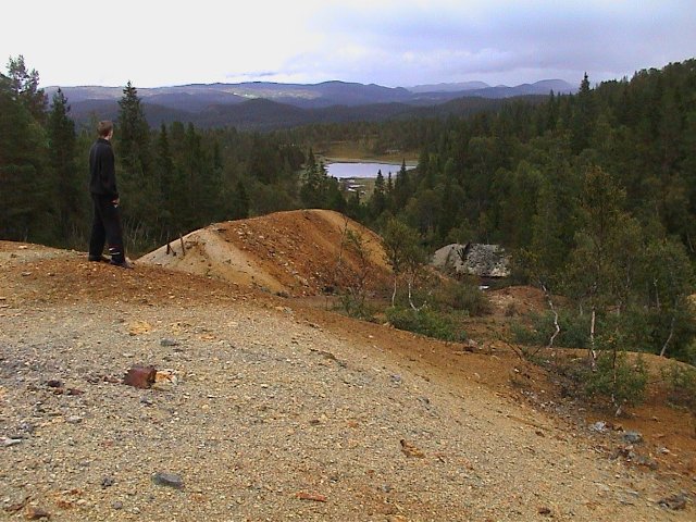 Slagghauger_mot___st.jpg