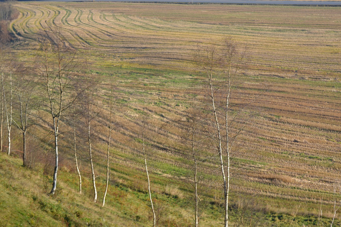 Flott høstdag