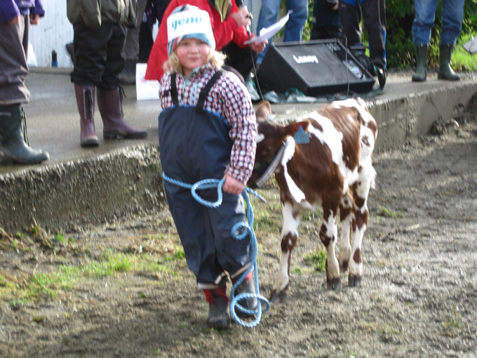 Kalvemønstring
