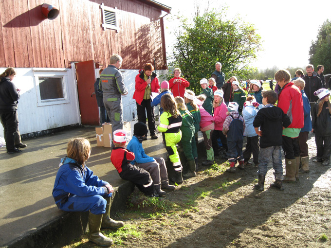 Kalvemønstring