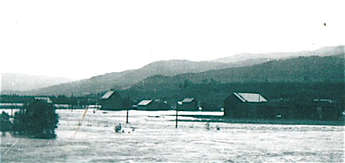 Flom august 1940