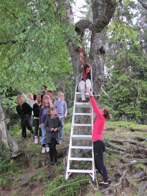 En liten hilsen fra småtrinnet på MuLb
