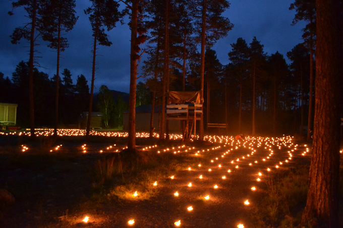 Storås-skogen