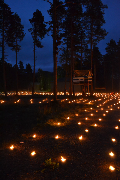 Storås-skogen