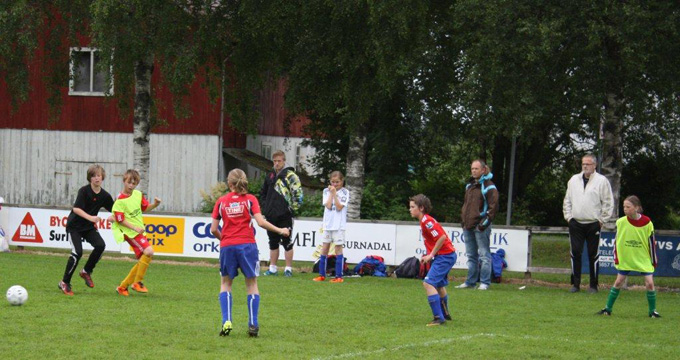 Småtrolluka 2011