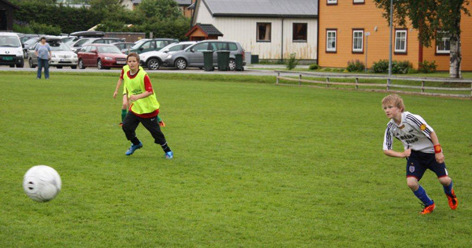 Småtrolluka 2011