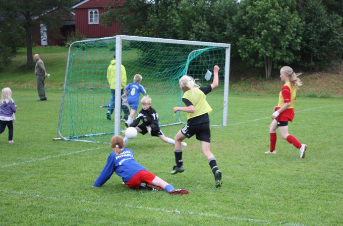 Småtrolluka 2011