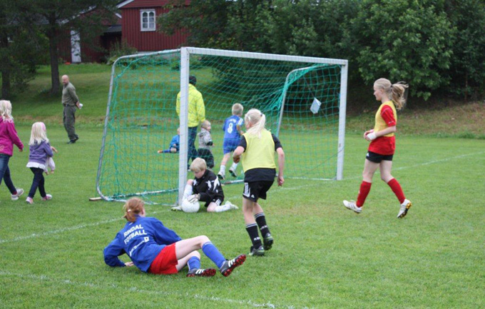 Småtrolluka 2011