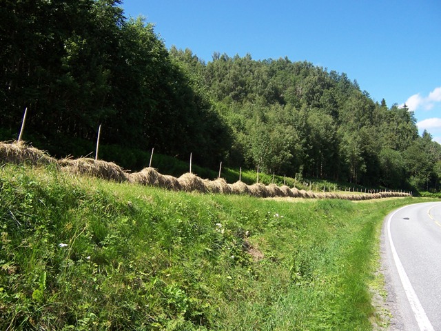 100_1385.JPG