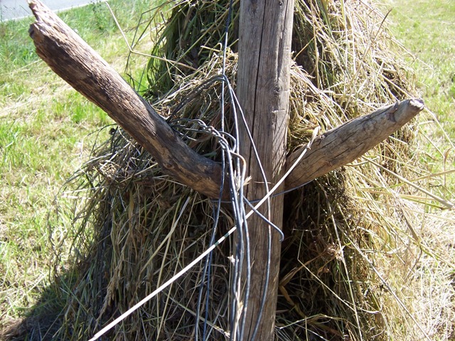 100_1389.JPG