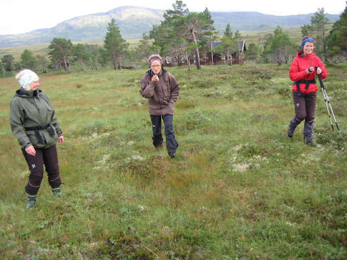 Trimtur 9. august