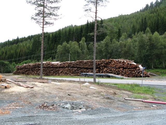 IMG_6518.jpg