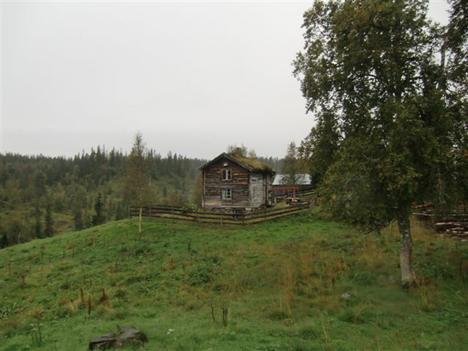 Seterstevne