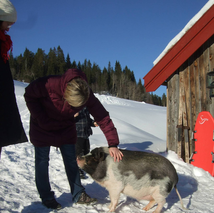 En flott vinterferiedag på Berge Gård