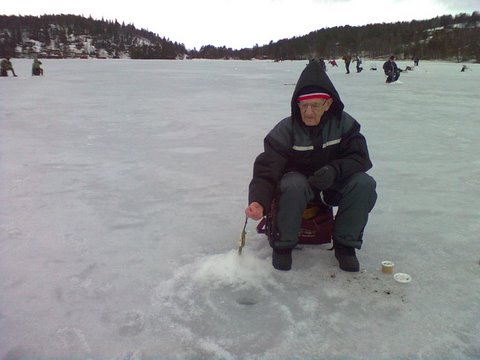Erling_fors__ker____lure_r__ya.jpg