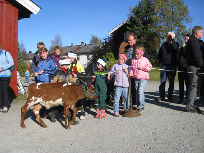 Åpen gård