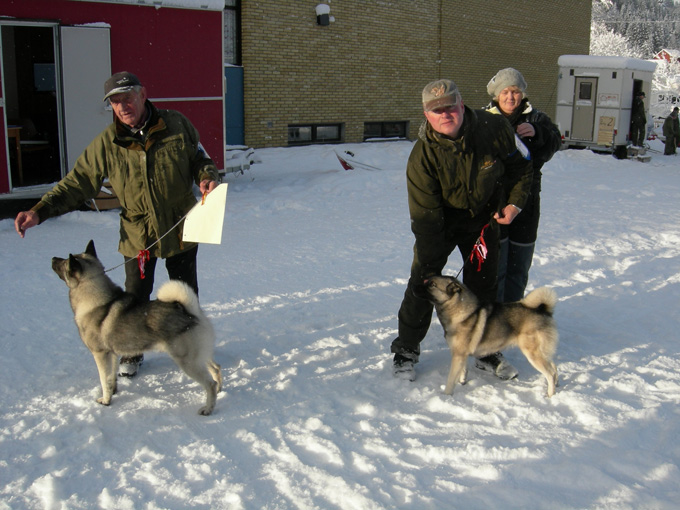 Løkkenutstillingen