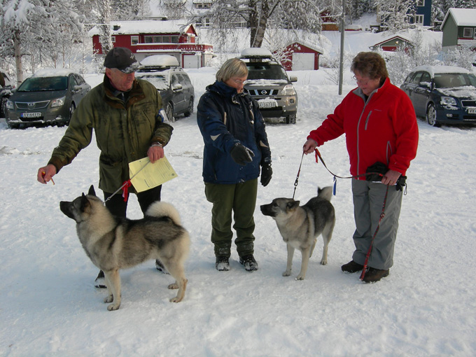 Løkkenutstillingen