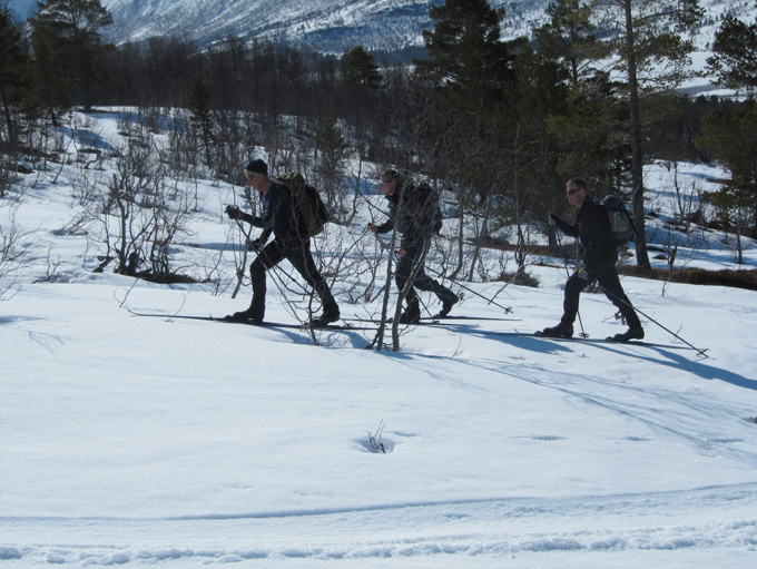 Neådalssnota