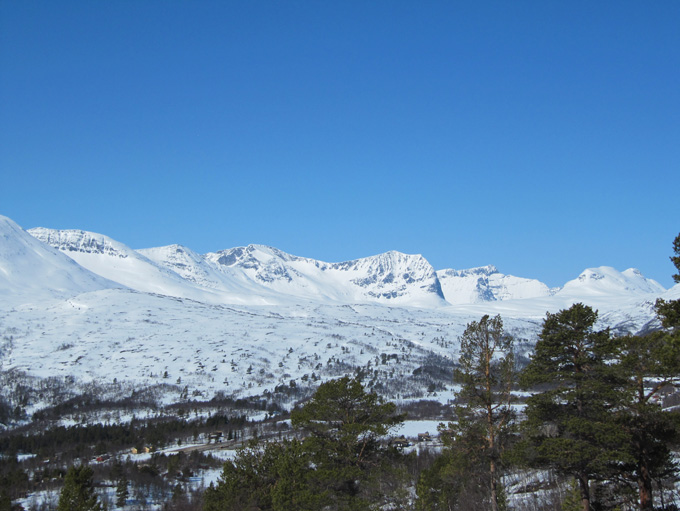 Neådalssnota
