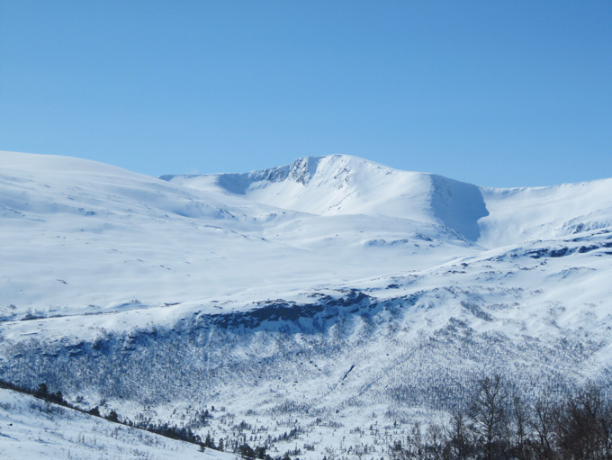 Neådalssnota