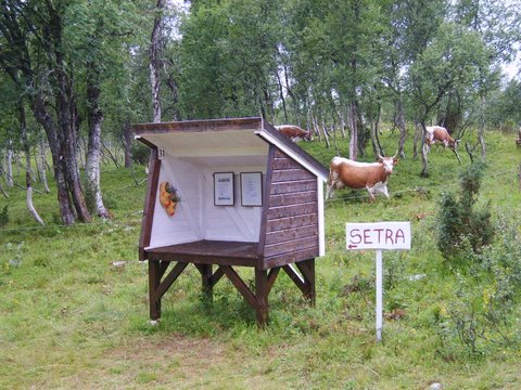 Bjørklisetra