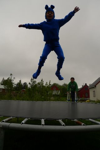 Bompibjørnsvev