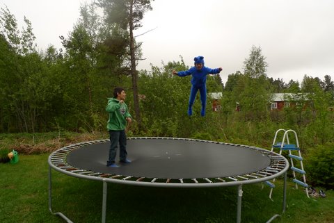 Bompibjørnsvev