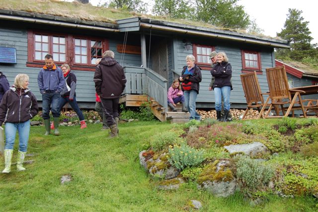 Meldal Hagelag på Mårhaugen