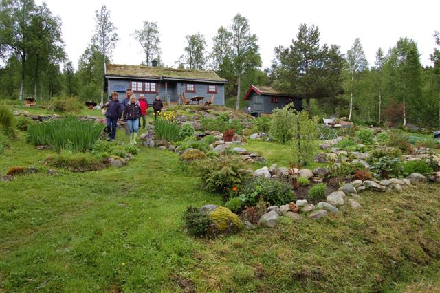 Meldal Hagelag på Mårhaugen