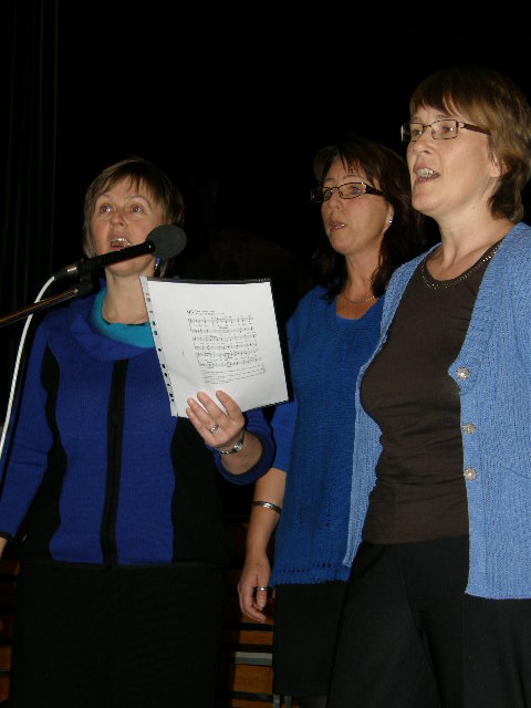 Lillebergfest