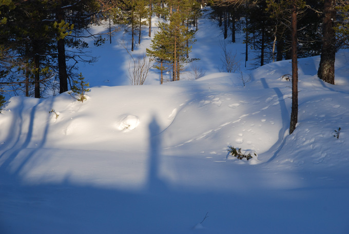 Naturens treningsstudio